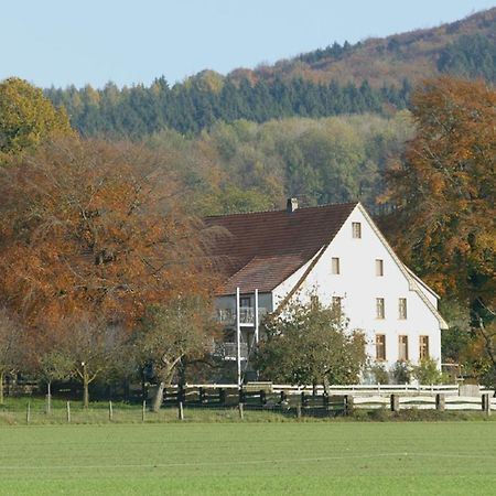 Ferienwohnung An Der Obstwiese Borgholzhausen Εξωτερικό φωτογραφία