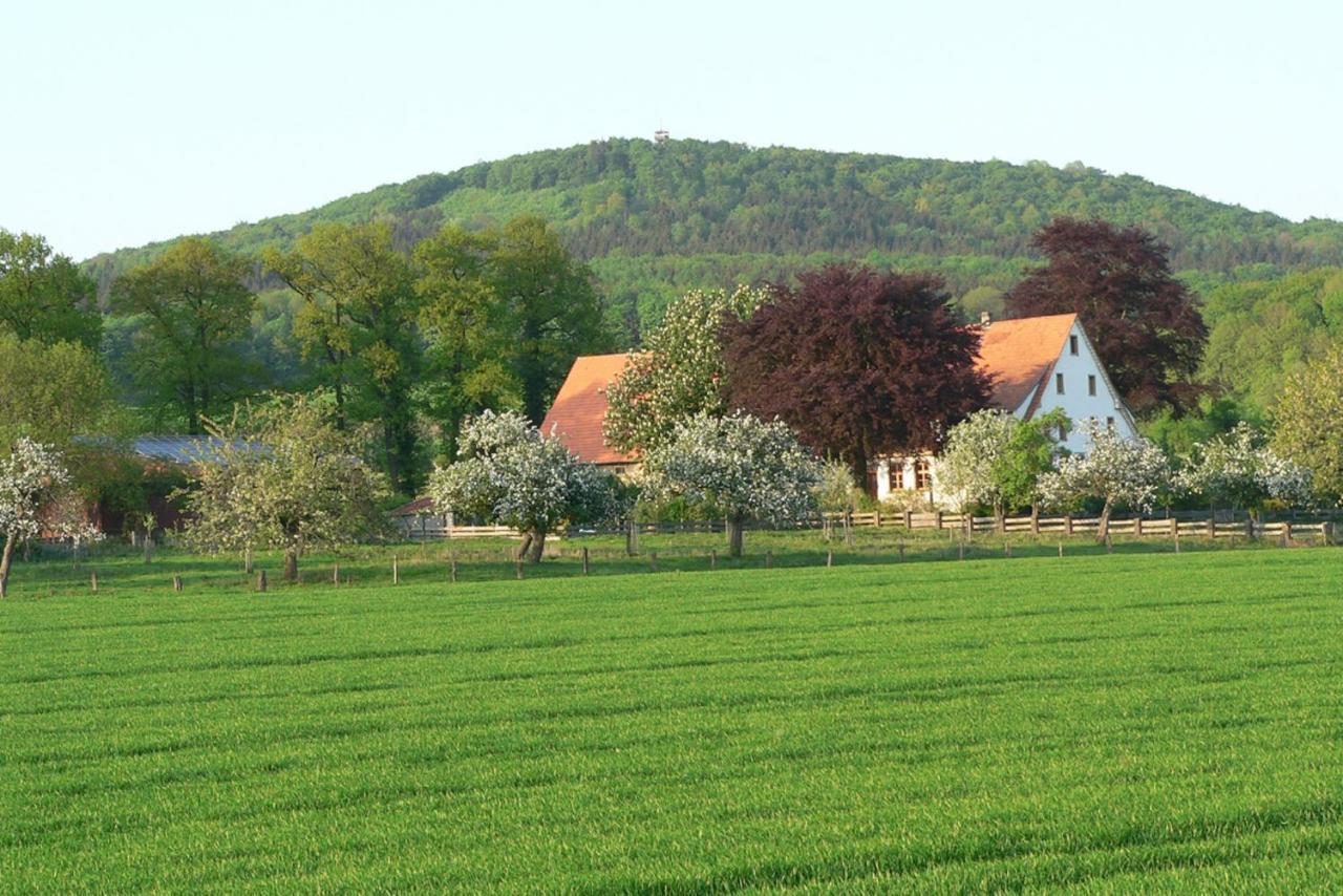 Ferienwohnung An Der Obstwiese Borgholzhausen Εξωτερικό φωτογραφία