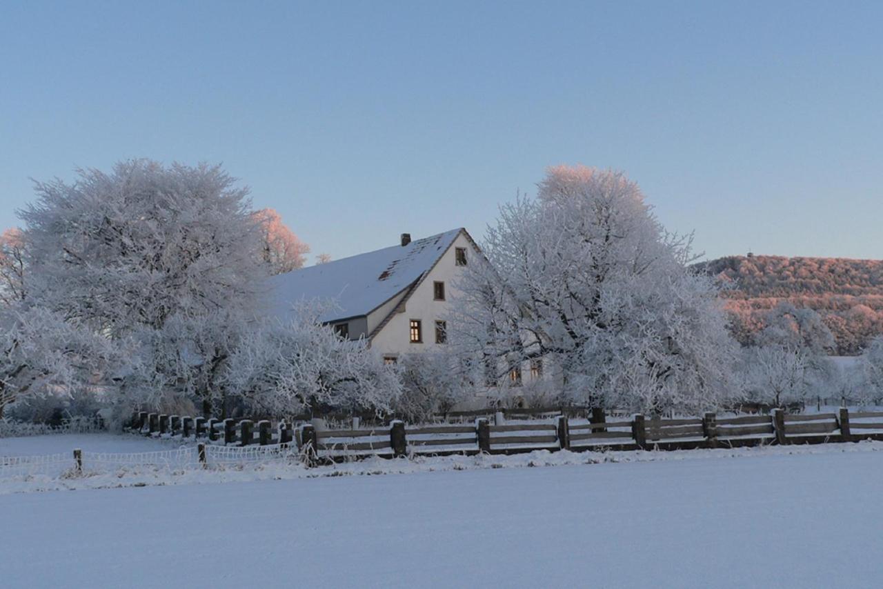 Ferienwohnung An Der Obstwiese Borgholzhausen Εξωτερικό φωτογραφία